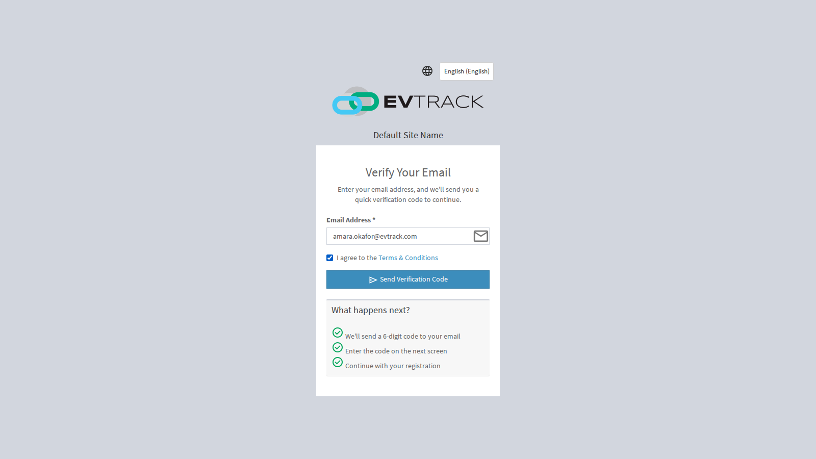 Email verification entry